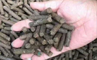 水果渣越來越受歡迎，因?yàn)樗某霈F(xiàn)—生物質(zhì)顆粒機(jī)設(shè)備