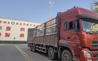 忙碌的五月，忙碌的發(fā)貨，金格瑞顆粒機生產(chǎn)線發(fā)往全國各地