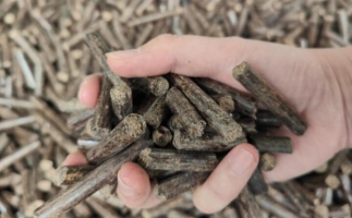 煤炭熱值那么高，為什么還要燒鋸末顆粒機的生物質(zhì)顆粒燃料？